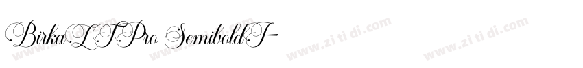 BirkaLTPro SemiboldI字体转换